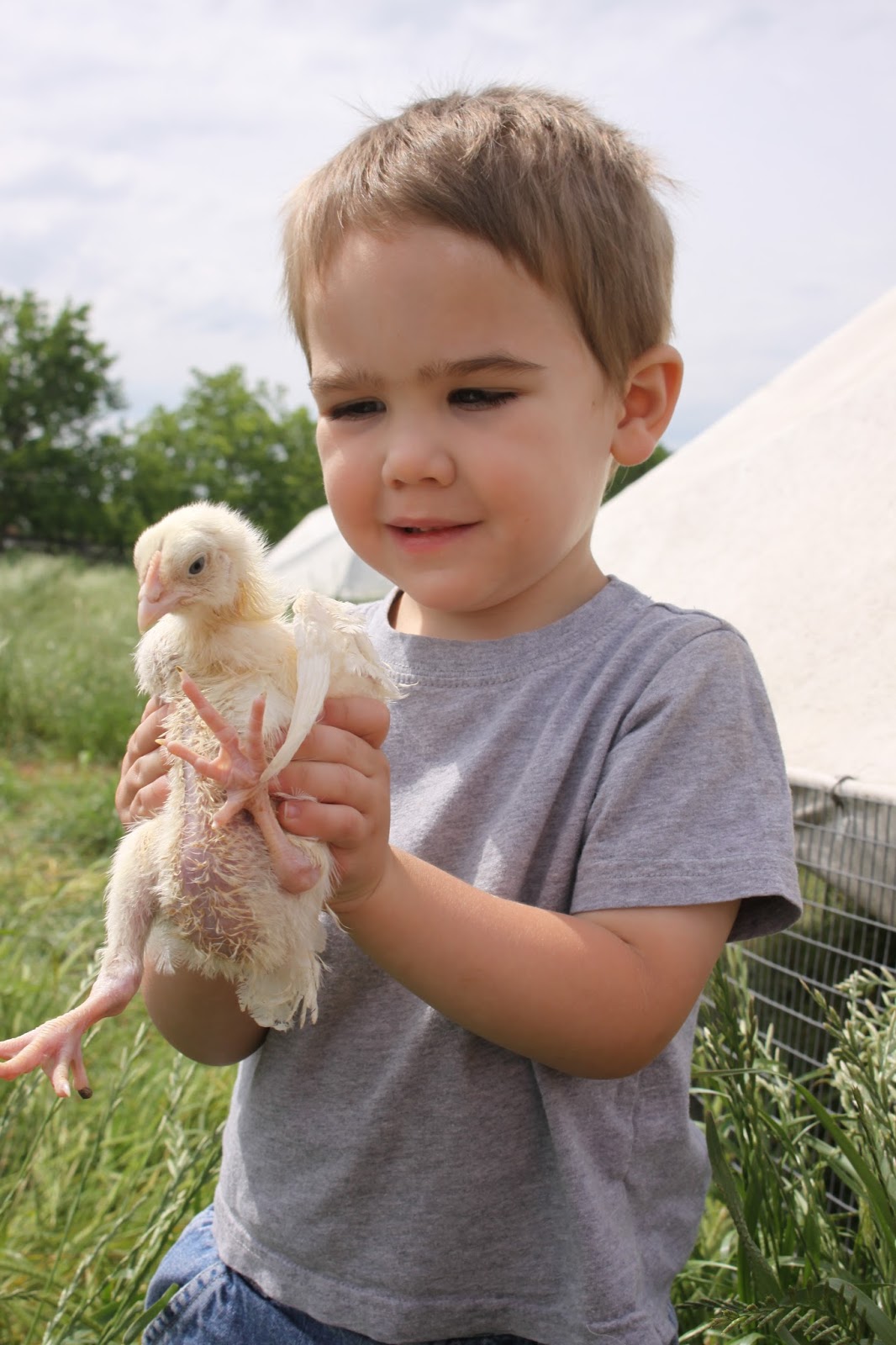 Windy Meadows Hatchery photo 24